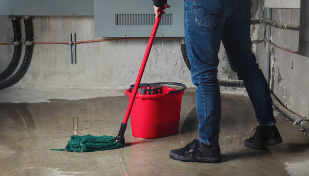 Best Flooded house restoration  in Port Jefferson Station, NY