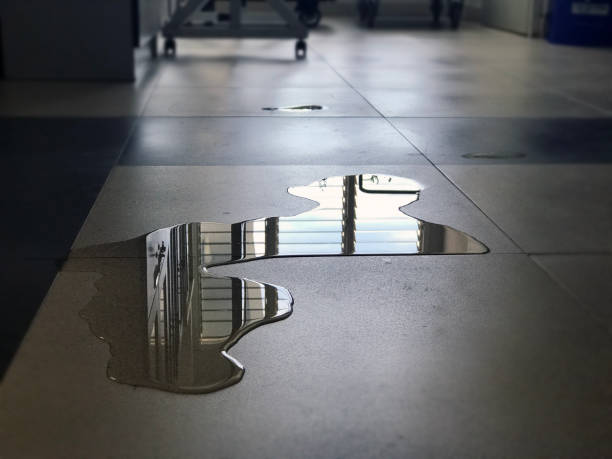 Best Carpet water damage restoration  in Port Jefferson Station, NY