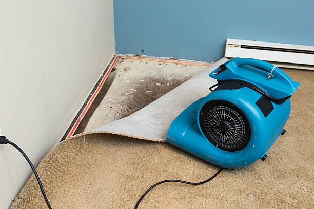 Carpet water damage restoration in Port Jefferson Station, NY